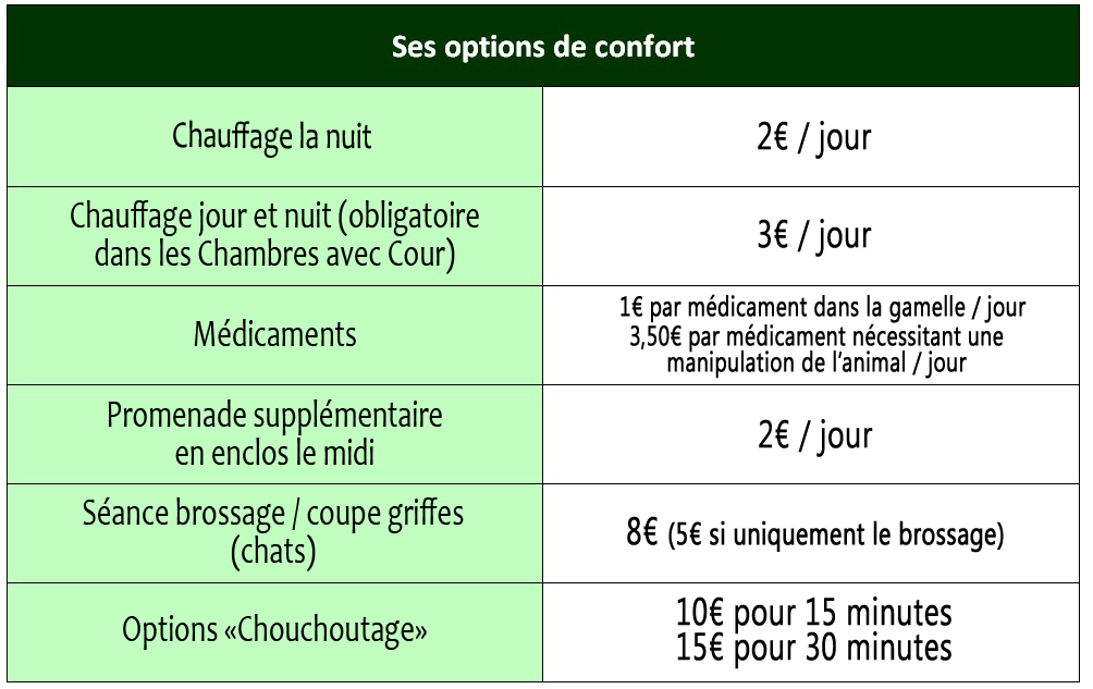 Tableau représentant les options (et leur coût) concernant les options de confort