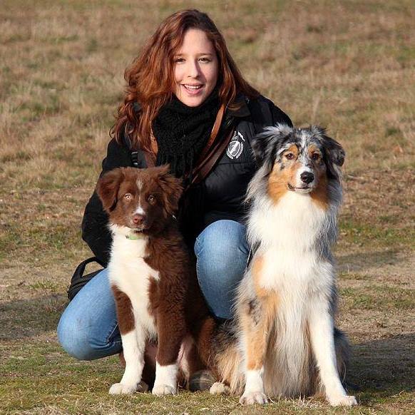 Melody, employée Le Bois du Roy avec ses deux chiens Bergers Australiens