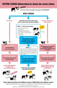 Image Doggie Drawings expliquant différents choix de comportement selon l'attitude de son chien