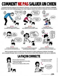 Image Doggie Drawings expliquant à autrui comment ne pas saluer son chien lorsqu'il est en laisse