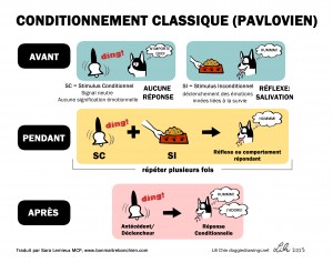 dessin de Doggie Drawings expliquant le principe du conditionnement chez le chien