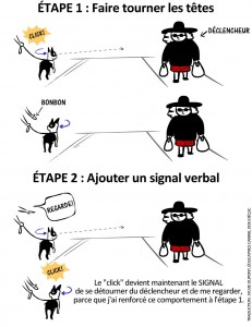 Image Doggie Drawings illustrant l'ordre "regarde-moi" quand on croise quelque chose d'intéressant dans la rue qui risque de faire aboyer son chien