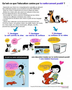 Image Doggie Drawings illustrant le renforcement positif