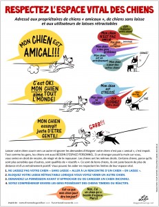 Image Doggie Drawings expliquant comment respecter l'espace vital des chiens