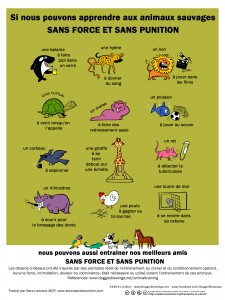 Image Doggie Drawings "si nous pouvons apprendre aux animaux sauvage sans force et sans punition, pourquoi pas la même chose pour nos animaux domestiques ?"