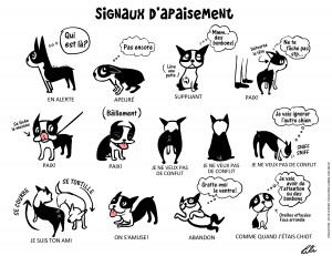 dessin de Doggie Drawings expliquant les différents signaux d'apaisement