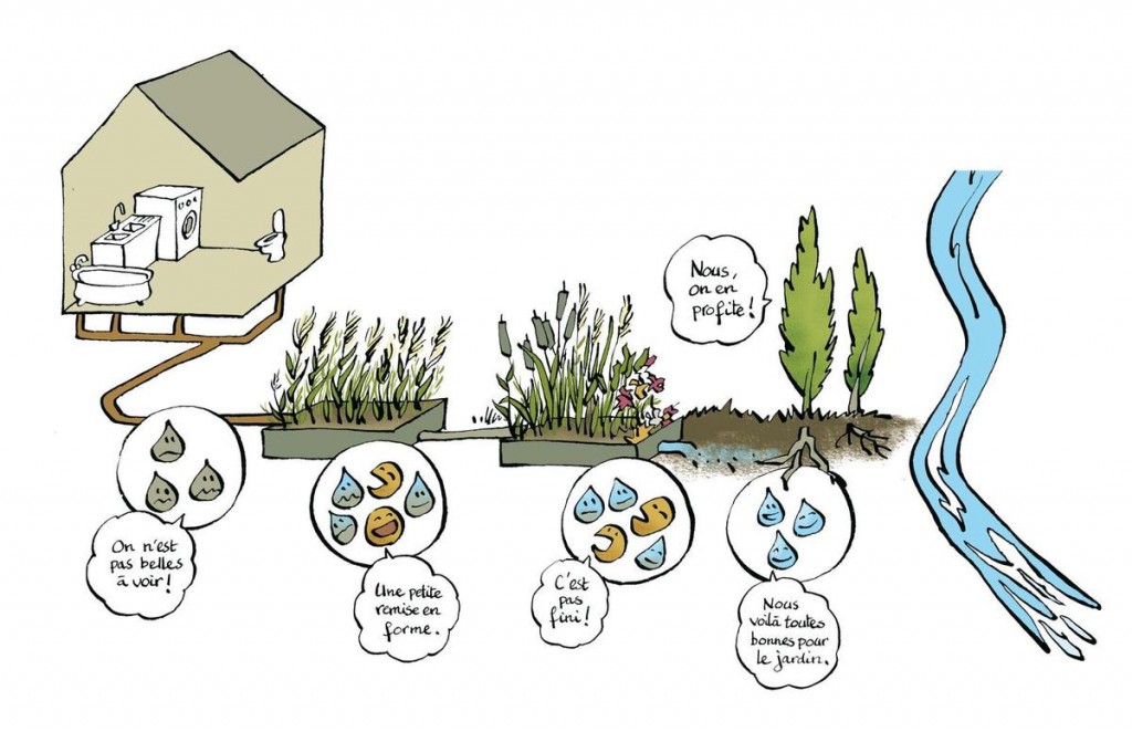 Schéma du système de phytoépuration - Aquatiris - Le Bois du Roy