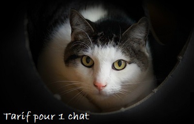 Le Bois du Roy - Tarifs pour 1 chat 