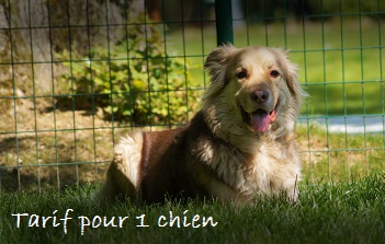 Le Bois du Roy - Tarifs pour 1 chien